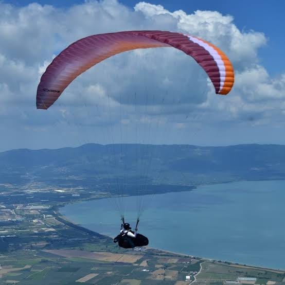Orhangazi Zeytinlik Satışı
